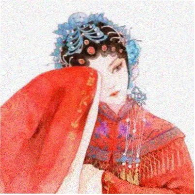 观众白桦的头像